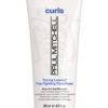 Paul Mitchell Spring Loaded Conditioner