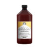 Davines – Naturaltech – Purifying Shampoo (1000ml)
